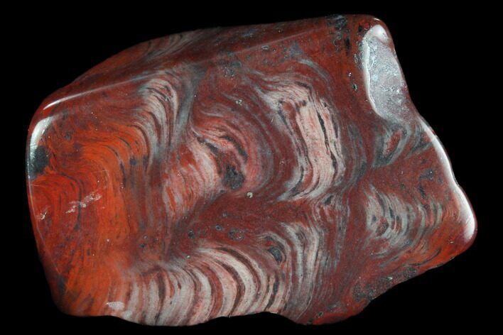 Polished Stromatolite (Collenia) - Minnesota #126094